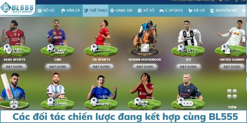 Các đối tác chiến lược đang kết hợp cùng BL555